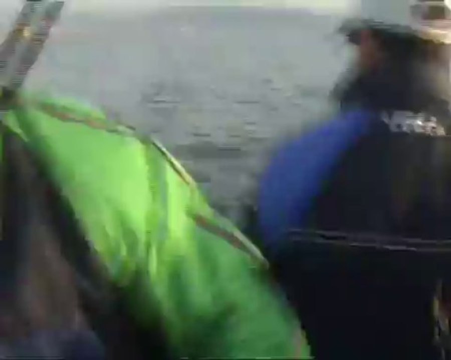 Le Avventure di Capitano 10 Pesca (SD-480p)