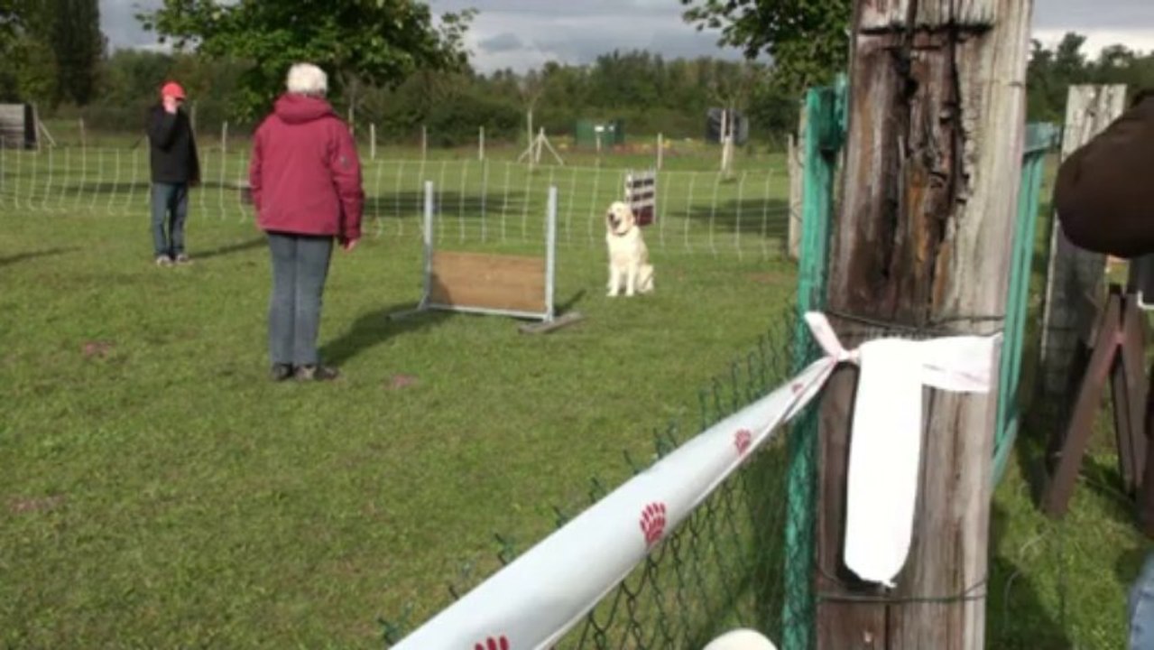 1er concours d'obéissance en classe 1 pour Emy