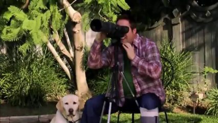 Le Chien d'Halloween ( bande annonce VO )