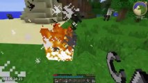 Minecraft Challenges - Fire Challenge - TE KROWY S WSZDZIE 6 - YouTube
