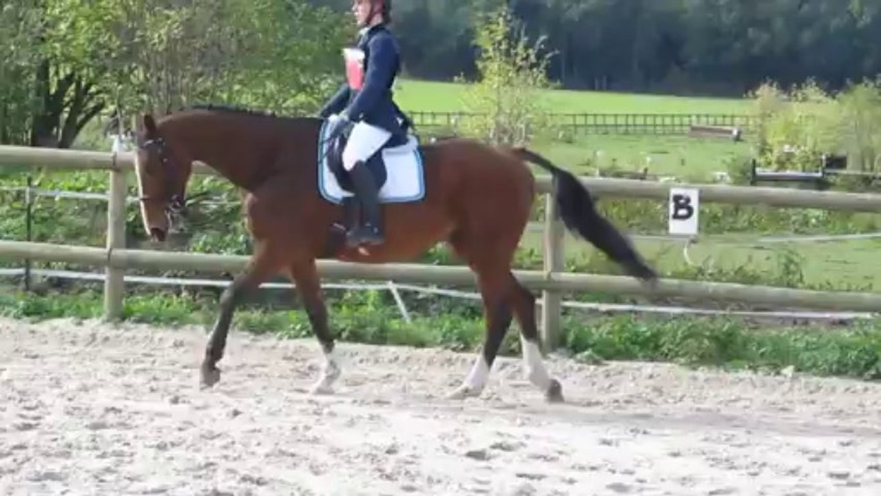 13-10-13 - CCE Club 1 Val Kalypso - Dressage