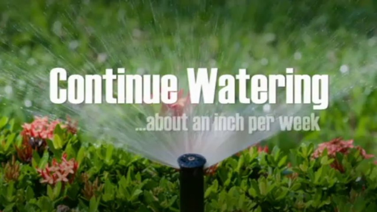 5 Tips for Winter Lawn Care - from Advanced Irrigation