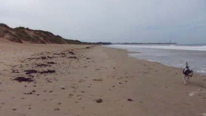 plage ile de Ré