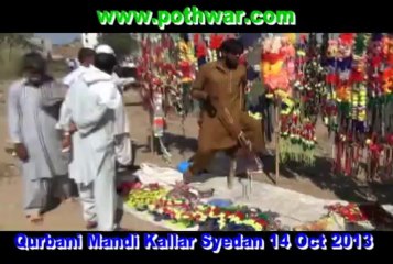 Last Qurbani Mandi Kallar Syedan