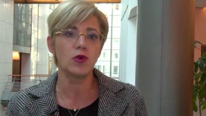 CORINA CRETU - S&D Group