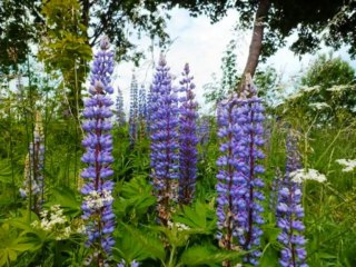 Twoja miłość jak ciepły deszcz