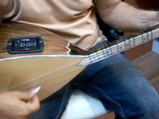 ceviz gitar burgulu profesyonel  shadow EQ