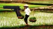 Farmer kills land official, wounds four others in Vietnam