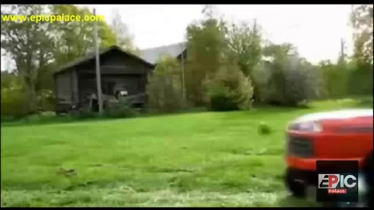 Animals Caught In Funny Act