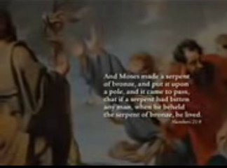 골프채택배《KOR 76 .ＣＯＭ》골프채택배