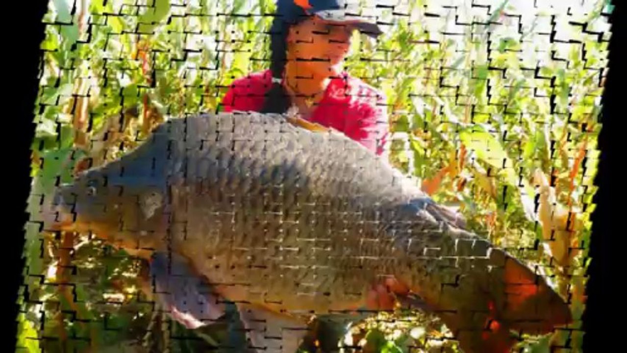Ma saison 2013 avec Loirbaits.