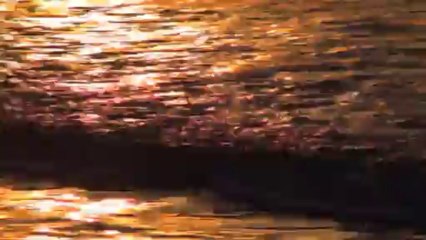 Sunrise at Wildwood NJ 4-19-2010 by David Saddler