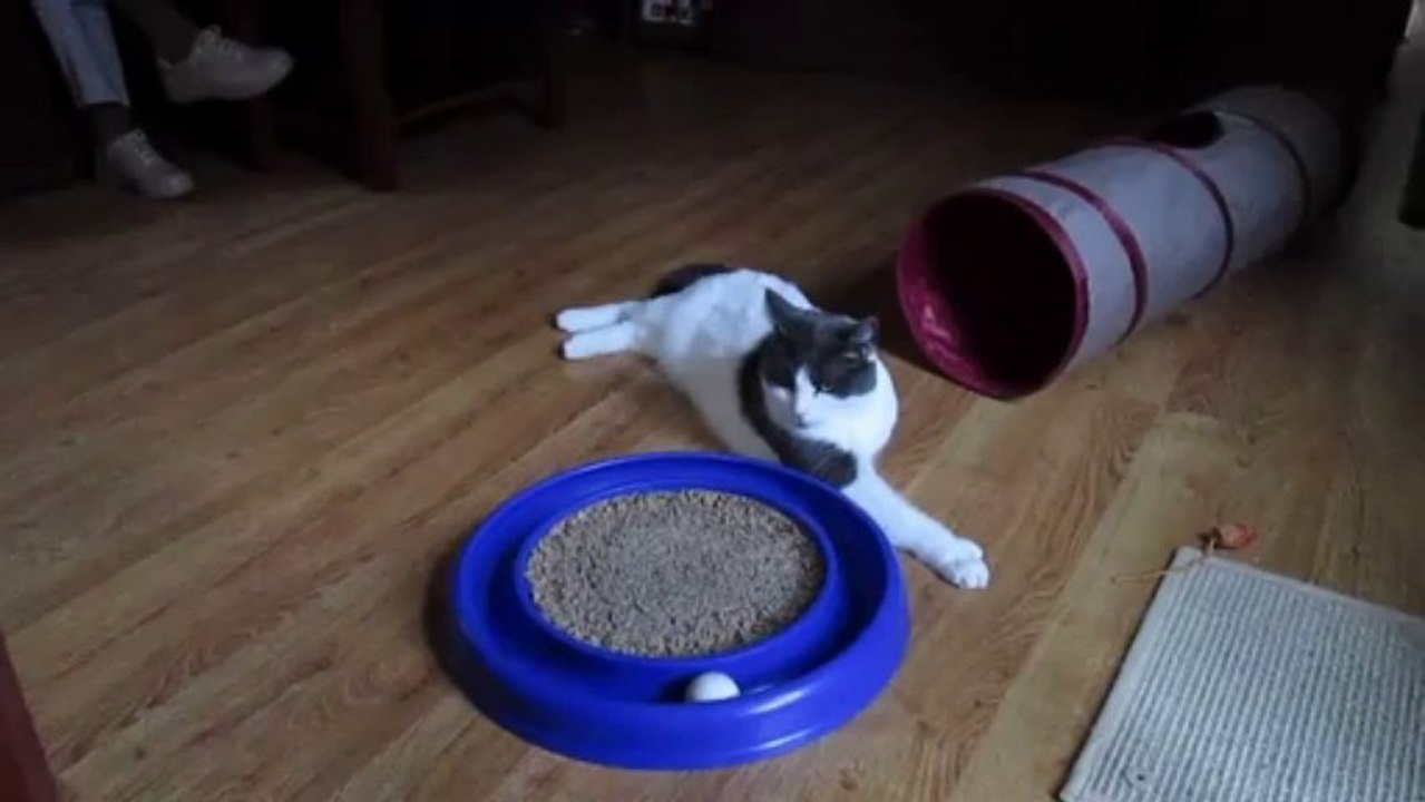 Paws Confuses Trackball With Kickball