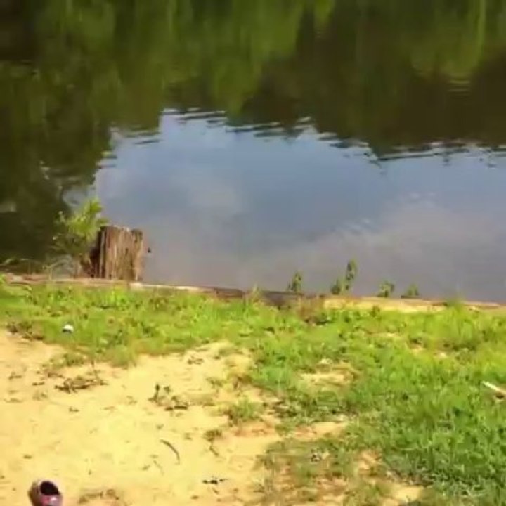 Jayce swinging into the pond