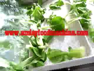 vegetable-bubble-washing-machine