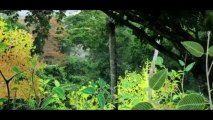 Il Était Une Forêt film complet partie 1 streaming VF en Entier en français (HD)