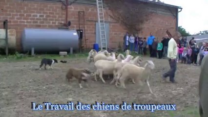 Fête de la brebis chez Lilie 47 - oct 2013