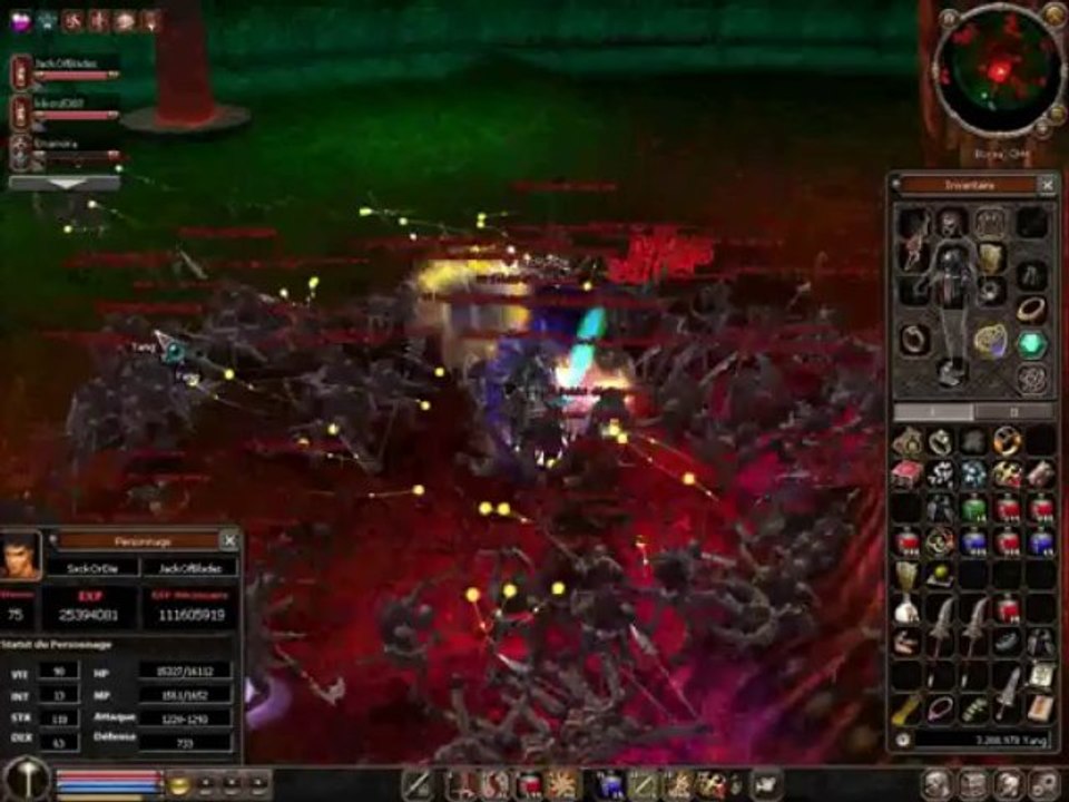 Vidéo détente sur metin2 ! /2e partie