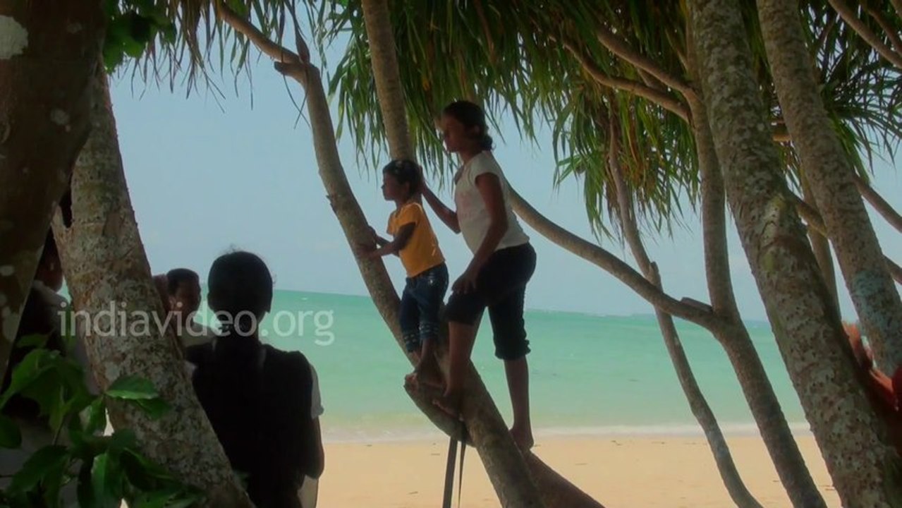 Mahatma Gandhi Marine National Park Wandoor, Andaman Islands