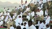 La Mecque : les pèlerins rassemblés sur le Mont Arafat