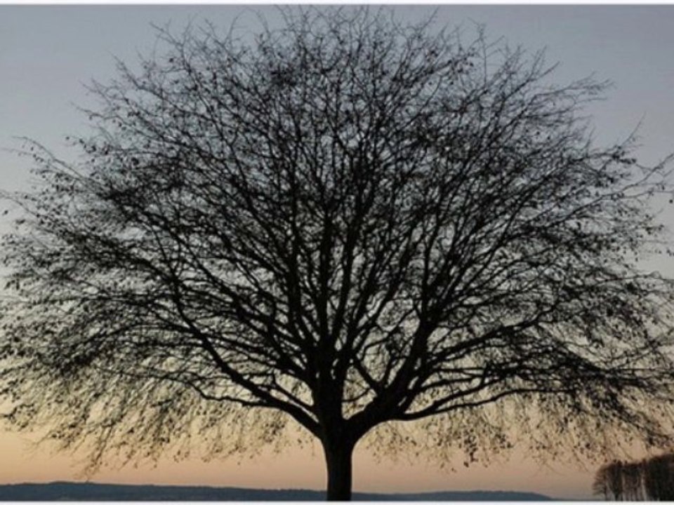 Educoworld l Personal Growth Inside and Out