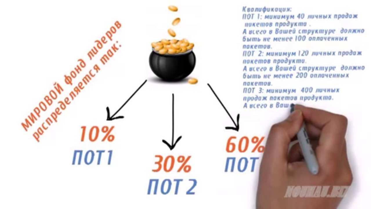 Маркетинг компании IQFORYOU Краткий обзор