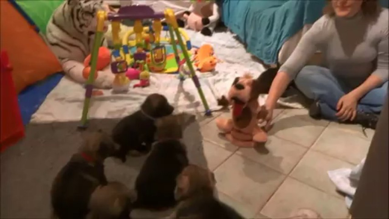 Eden Hood (4 semaines) jouet Marjo