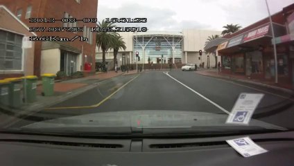 Driver Goes Thru Pedestrian Red Light