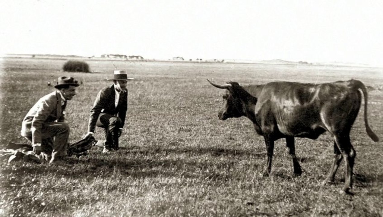 Un paseo por la muestra dedicada a Joselito y Belmonte