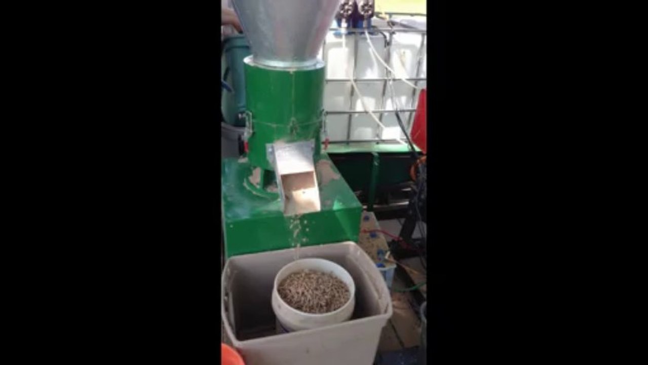 Wood Pellet Mill fast