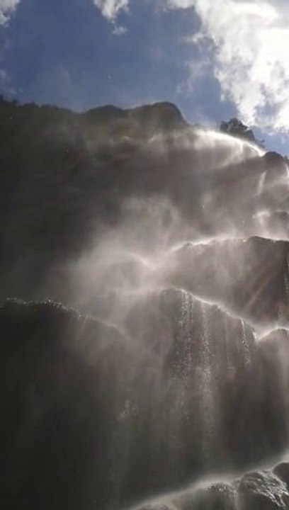 Cañon del Sumidero, Pino de Navidad