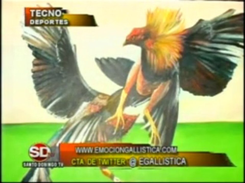 Programa-TECNODEPORTES-Miercoles-16-octubre-Coliseo-Sto.Este.KM.9-Y-Elecciones-Coliseo-Sto.Dgo