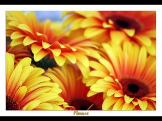 DEUTERONOMIO CAP 9 - A BIBLIA NA LINGUAGEM DE HOJE