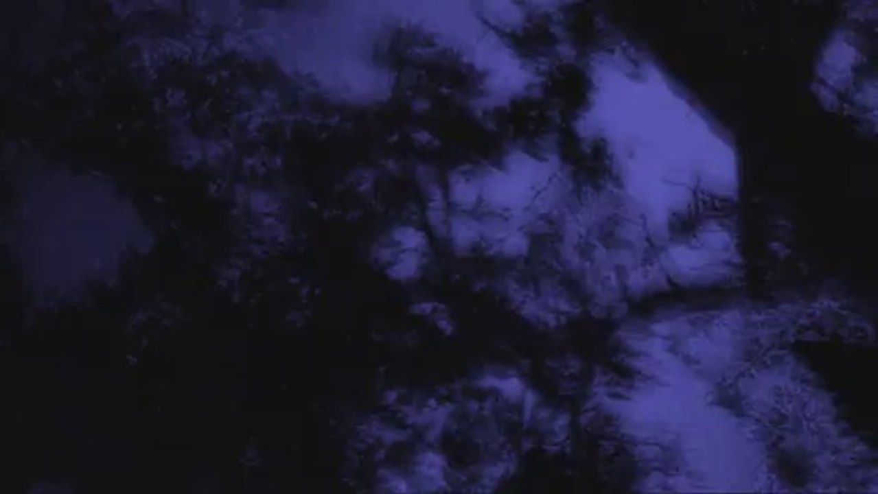 The Silent Wind
