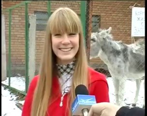 Donkey Spoils Interview - Funny Videos