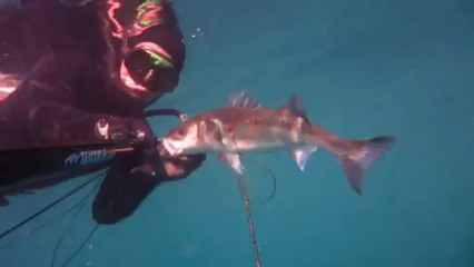 Aber wrac'h 9 octobre 2013 2ème partie 720p