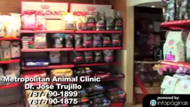 Metropolitan Animal Clinic | Clínica Veterinaria Guaynbo