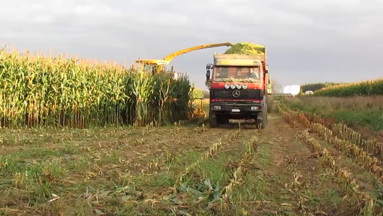 Ensilage 2013 FR 9090 10 rangs avec Porteur Mercedes