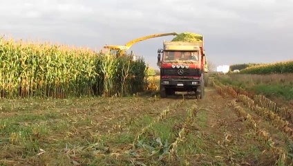 Ensilage 2013 FR 9090 10 rangs avec Porteur Mercedes