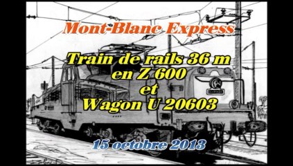 Z 600 et train de rails avec wagon U 20603