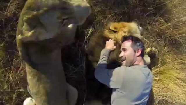 Kevin Richardson, l'homme qui fait des câlins... aux lions