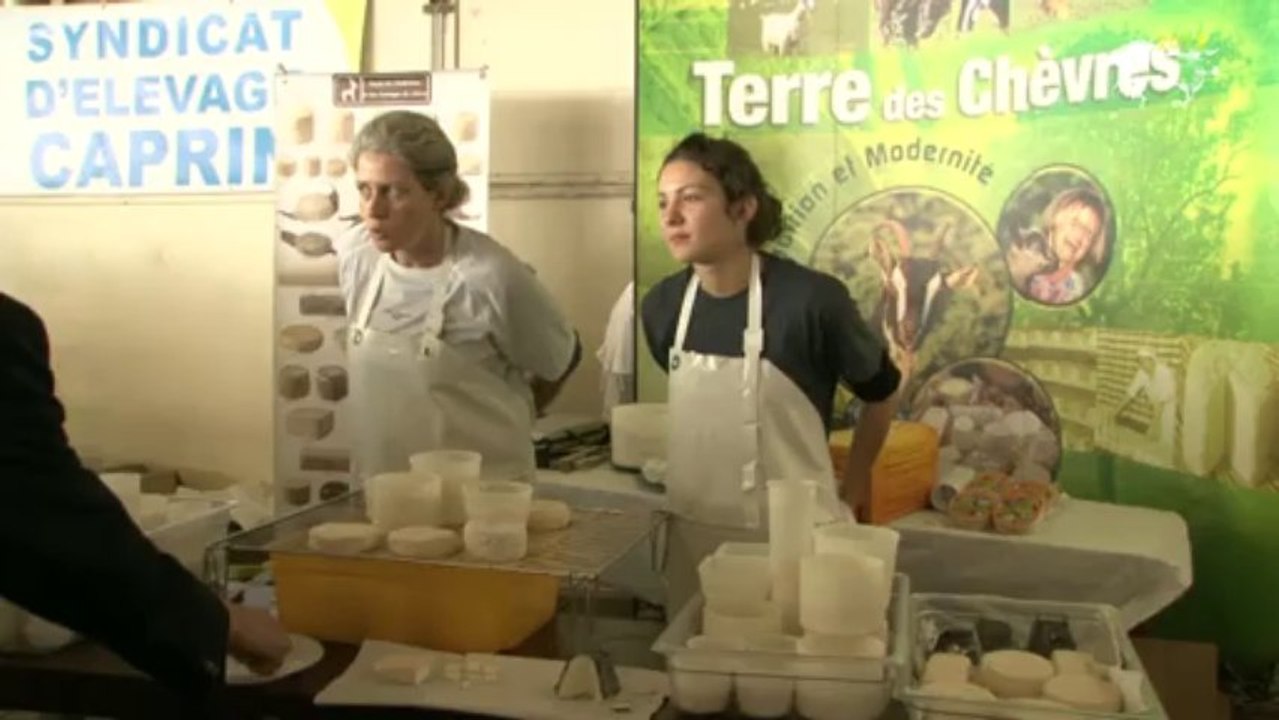 chevres 79 : 2013 Festival de l'élevage et de la gastronomie à Parthenay