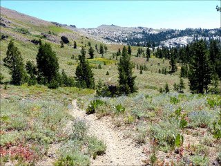 Lonesome Trail by The Electric Trunk