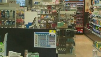 Kangaroo hops into chemist