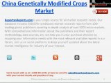 China Genetically Modified Crops Market