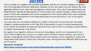 China Corn Market