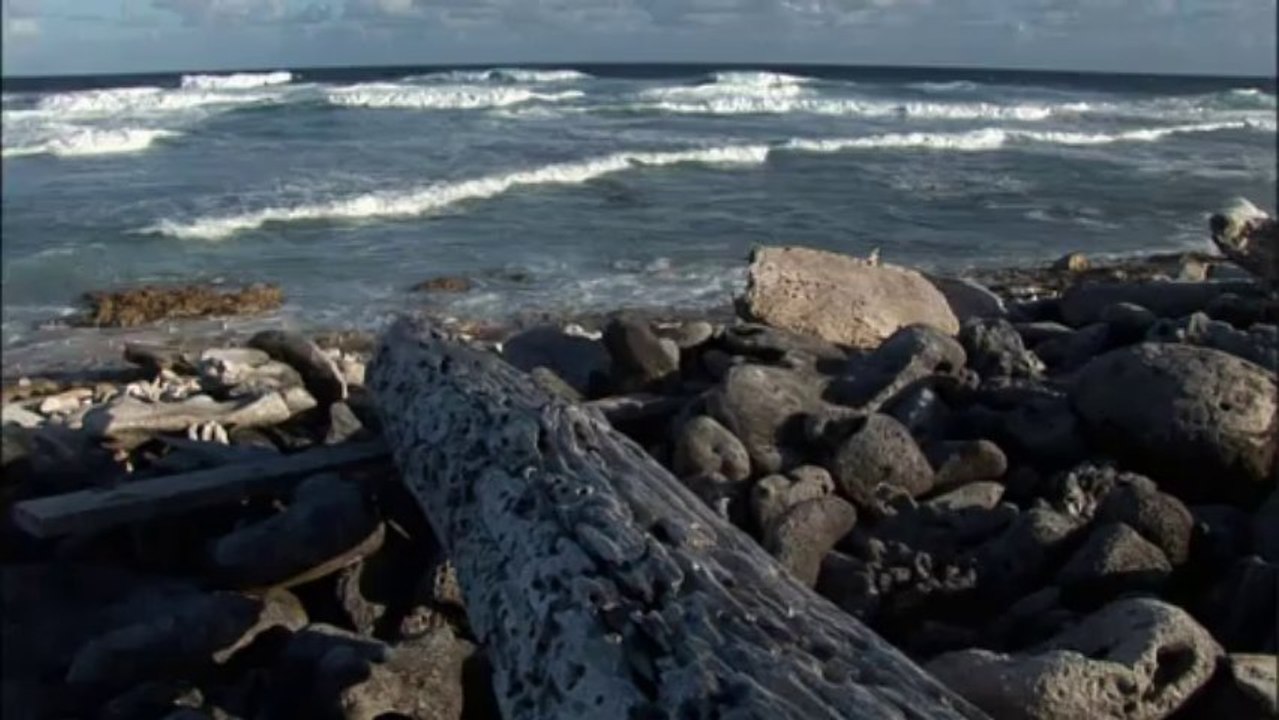 LES ESCLAVES OUBLIES DE L’ÎLE TROMELIN - extrait