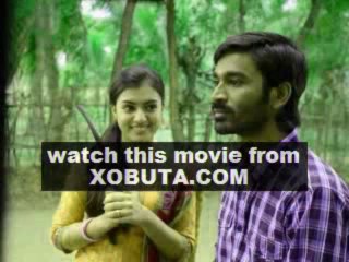 Watch Naiyandi 2013 Tamil Movie DVD Download Good Quality Online 1080p