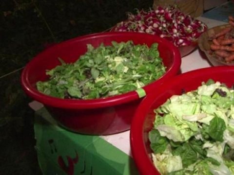 Journée contre le gaspillage: ils se mobilisent pour limiter le gâchis - 16/10