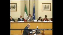 Roma - Audizione su riforma della Politica agricola comune (14.10.13)